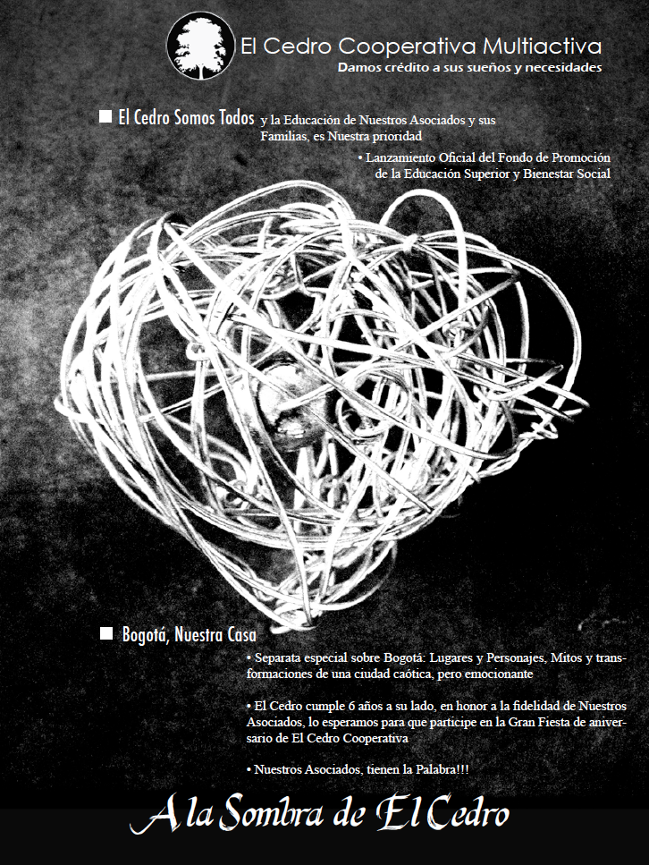 Archivo –  Boletín 02 – Noviembre de 2012